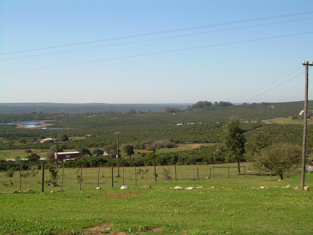 The Hexagon Wildlife Conservation Hotel Uitenhage Ngoại thất bức ảnh